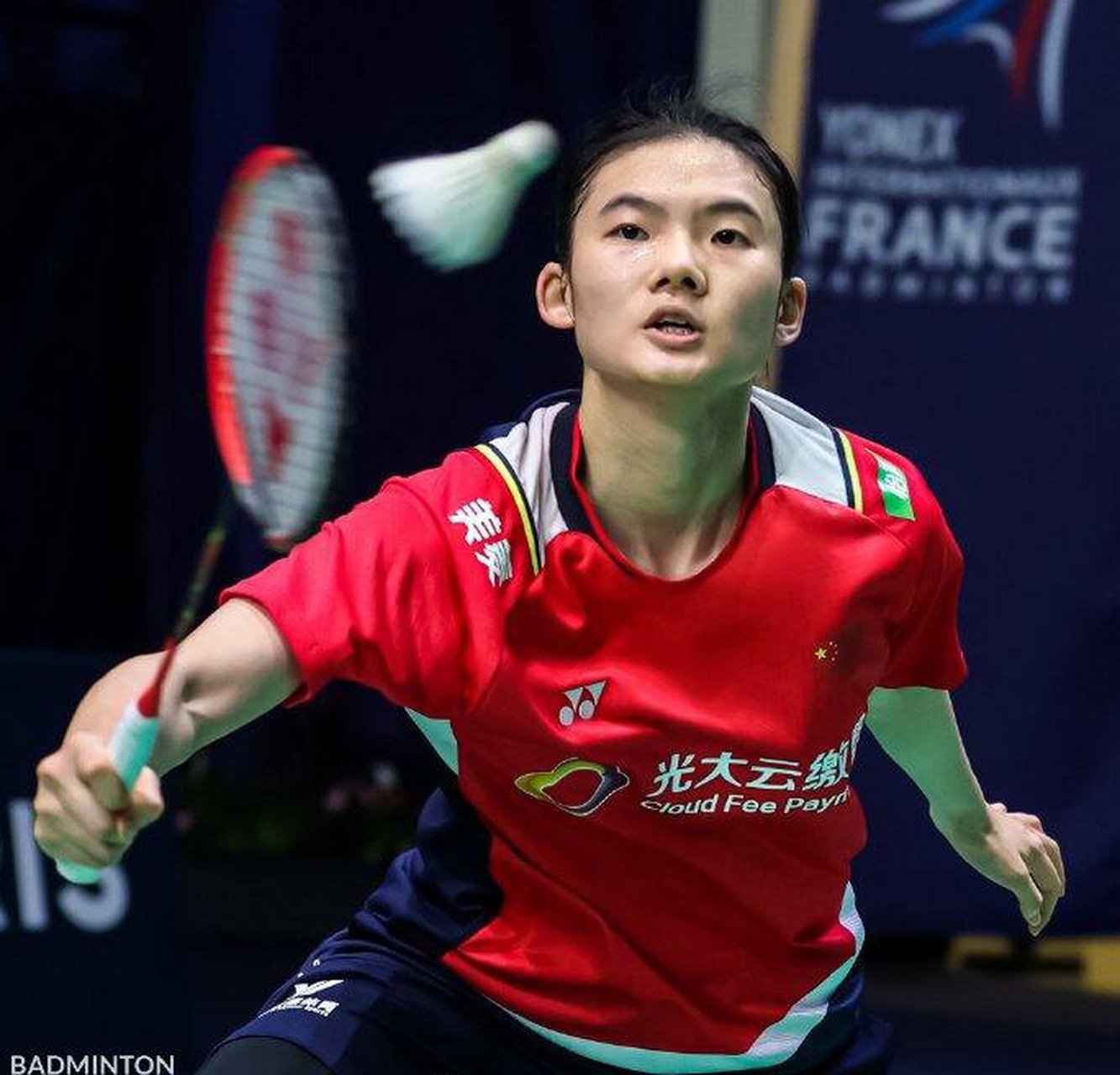 的数据与表 的数据与表