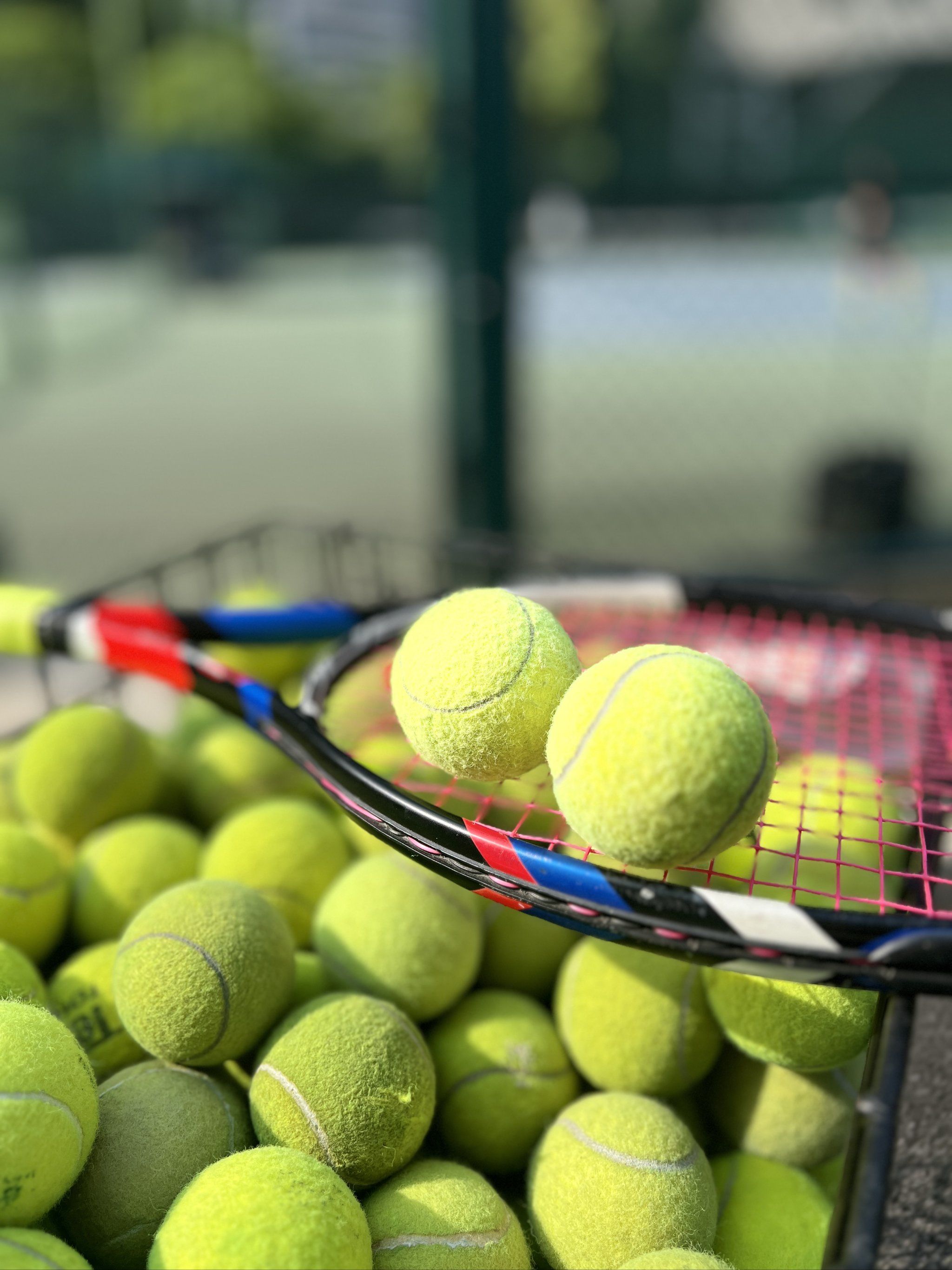 这些挑战同 这些挑战同