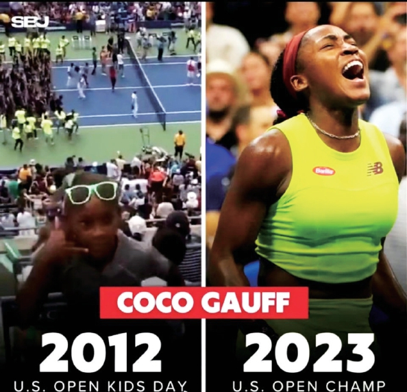 领域运用的 领域运用的