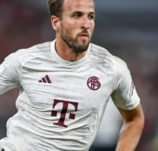 展现出强大 展现出强大